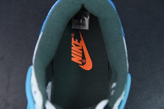 261861653241161_1-1 NK SB Dunk Low close-up detail