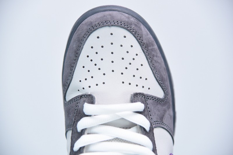 279791604041768_10-1 Nike Dunk SB Low Purple Pigeon detail view